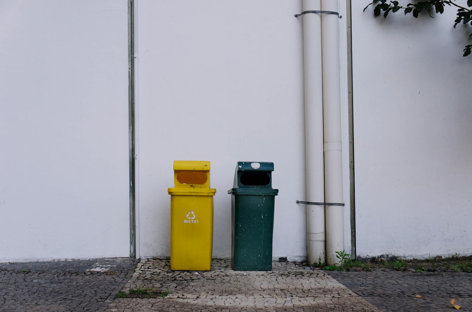 Throwing Old Detergent In Trash for What Is The Most Toxic Laundry Detergent? (Tide, Gain, Persil and the 5 Brands to Avoid)
