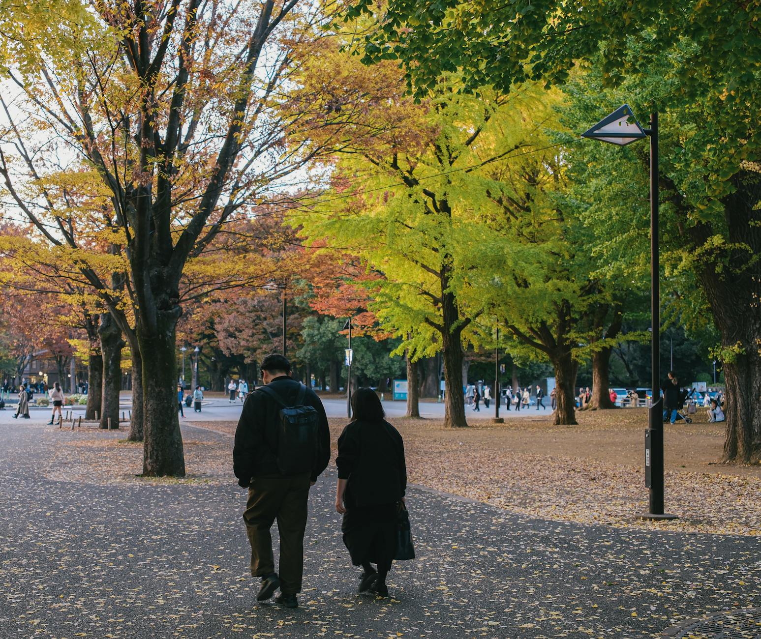 Walking Outdoor Park for Why Do My Legs Always Feel Tired? 6 Causes Beyond Just Walking Too Much