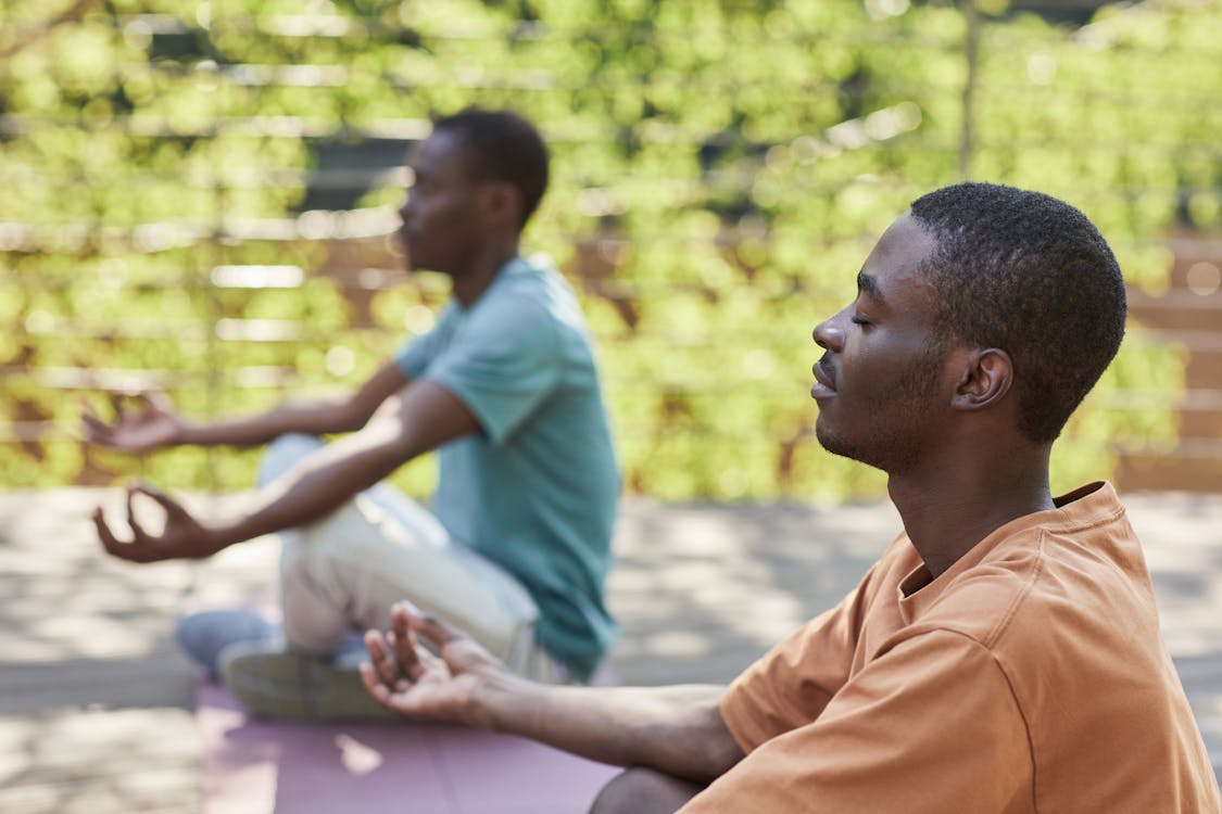 meditation calm focus complements bacopa monnieri for memory