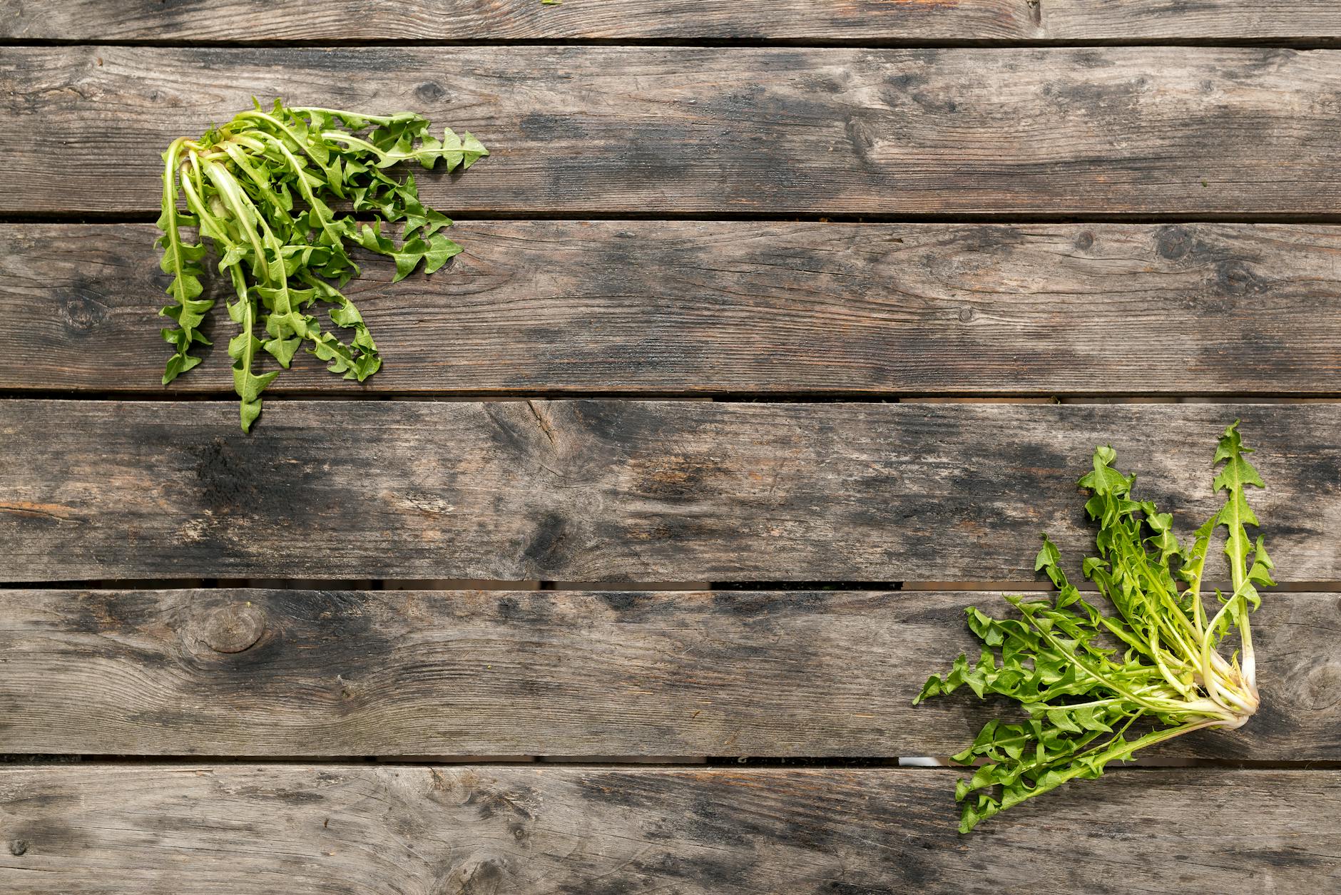 warning signs that your body is full of toxins inline 2