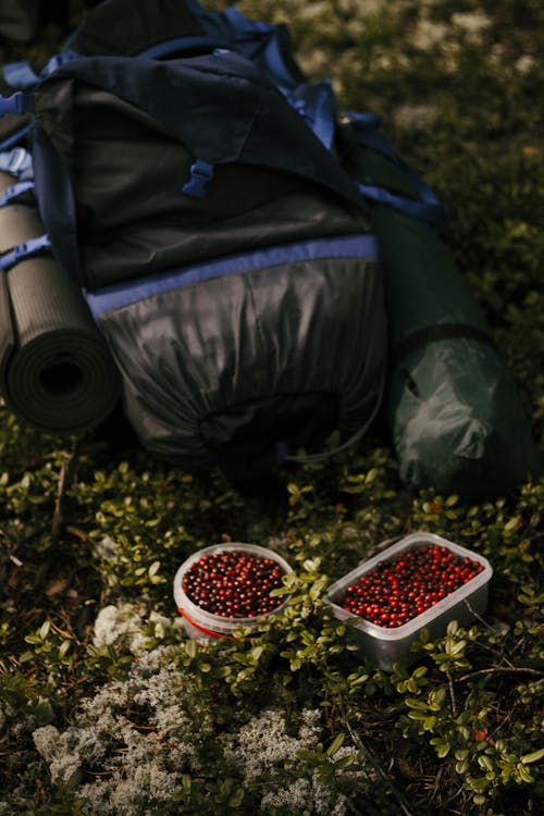 cranberries provide d-mannose for uti prevention naturally