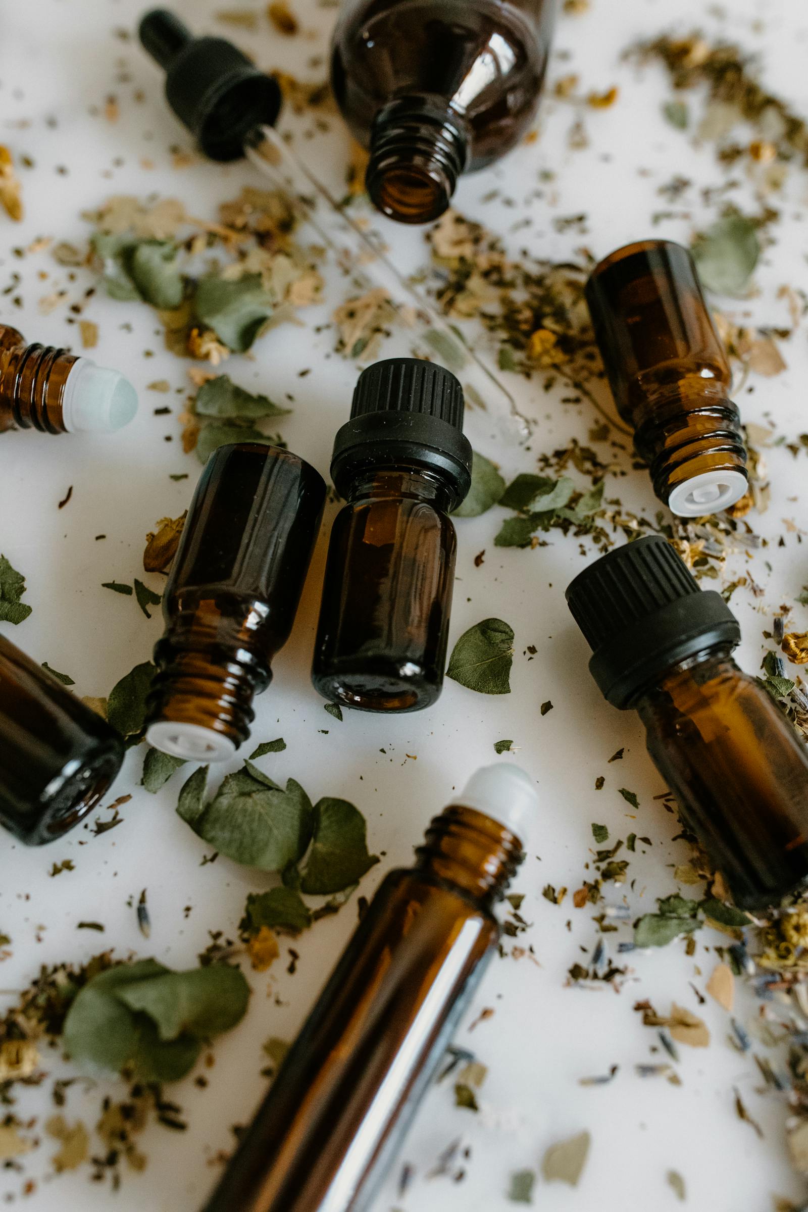 Essential oils and herbs used in natural flea repellent for dogs