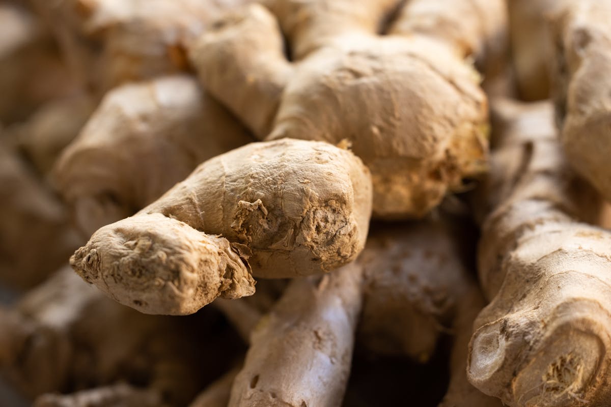 Fresh ginger root the natural remedy behind ginger for dogs motion sickness