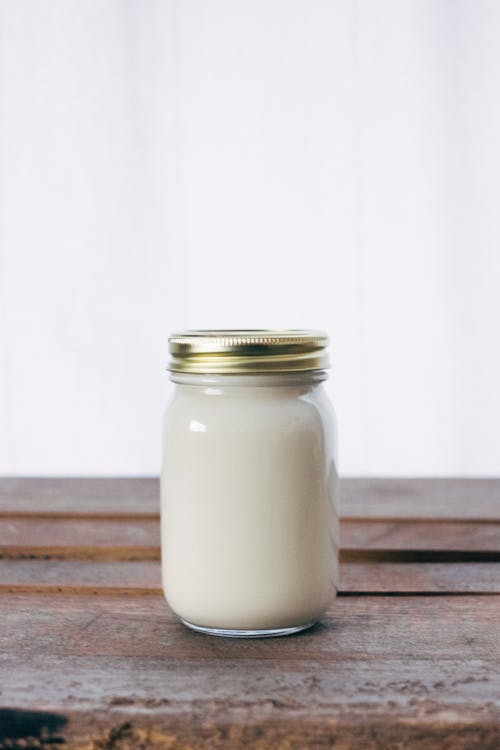 Kefir fermented milk drink rich in probiotics for dogs