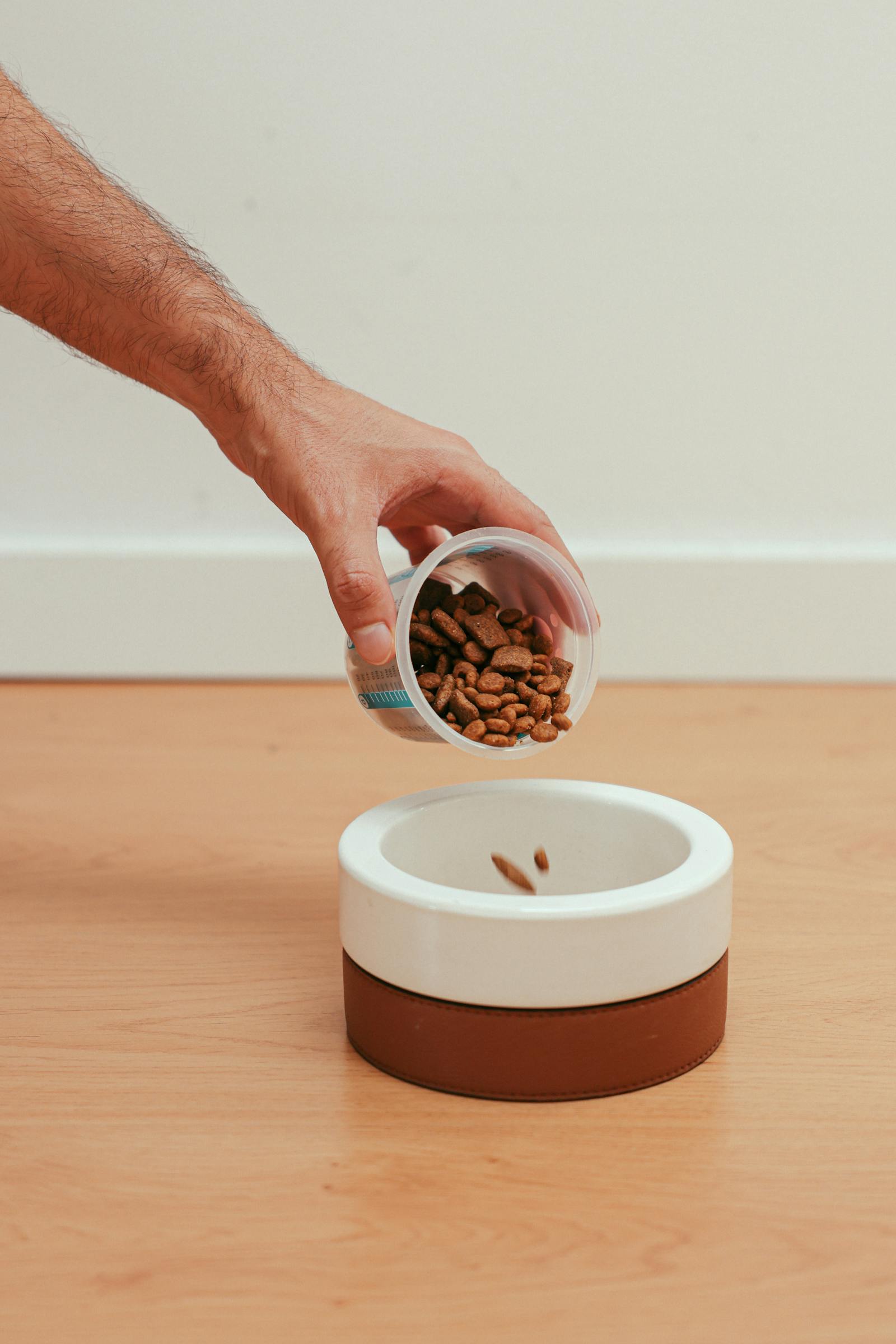 Pouring a small daily dose of kefir for dogs gut health into a bowl