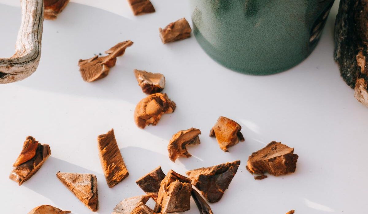 Reishi mushroom pieces and a hot drink for sleep and stress support