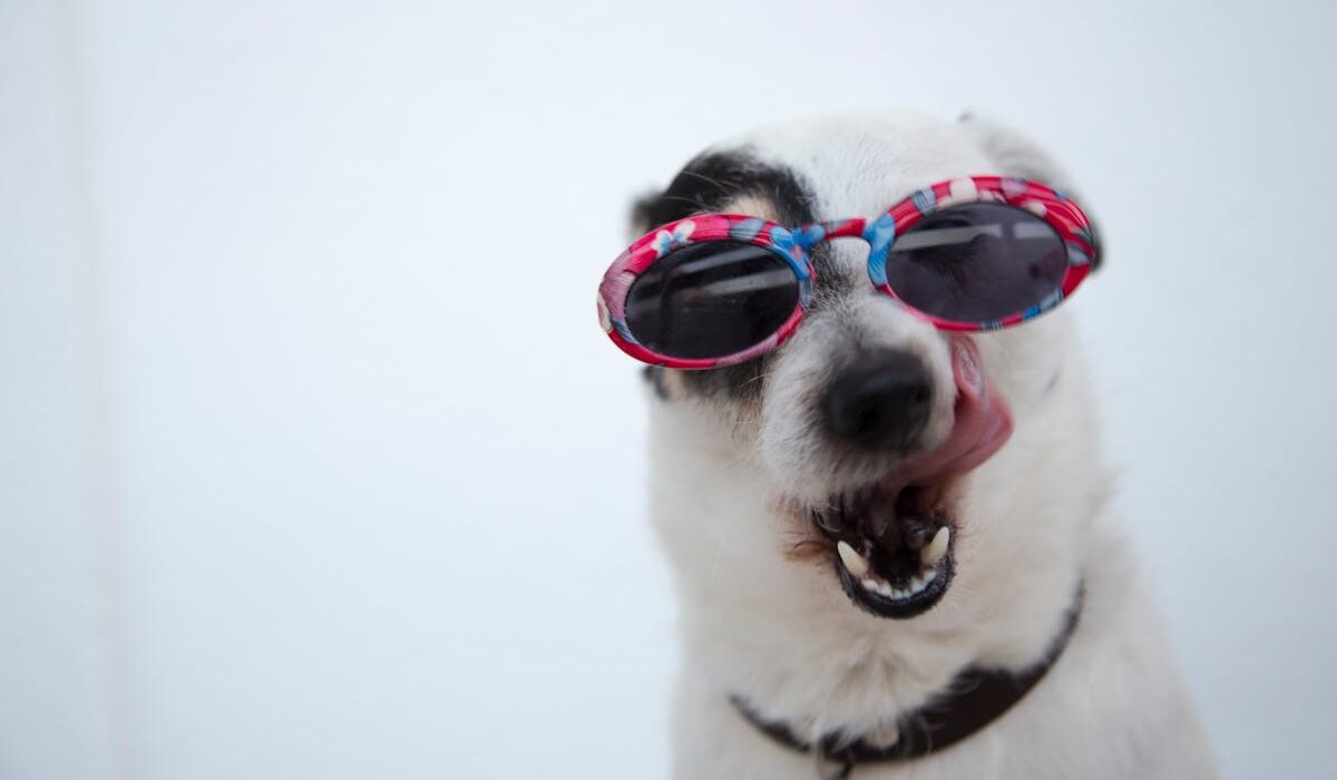 slippery elm for dogs with digestive issues