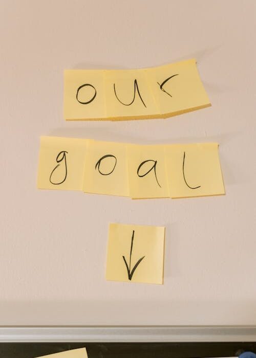planning goals using the WOOP method goal setting