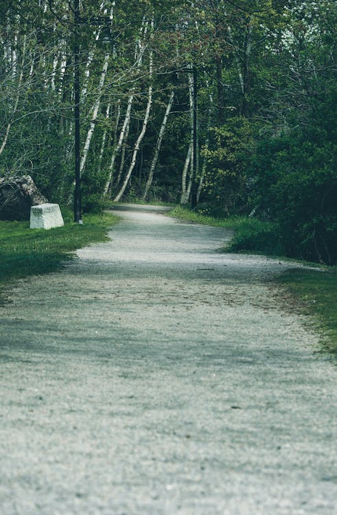 identifying obstacles in the path with WOOP method goal setting