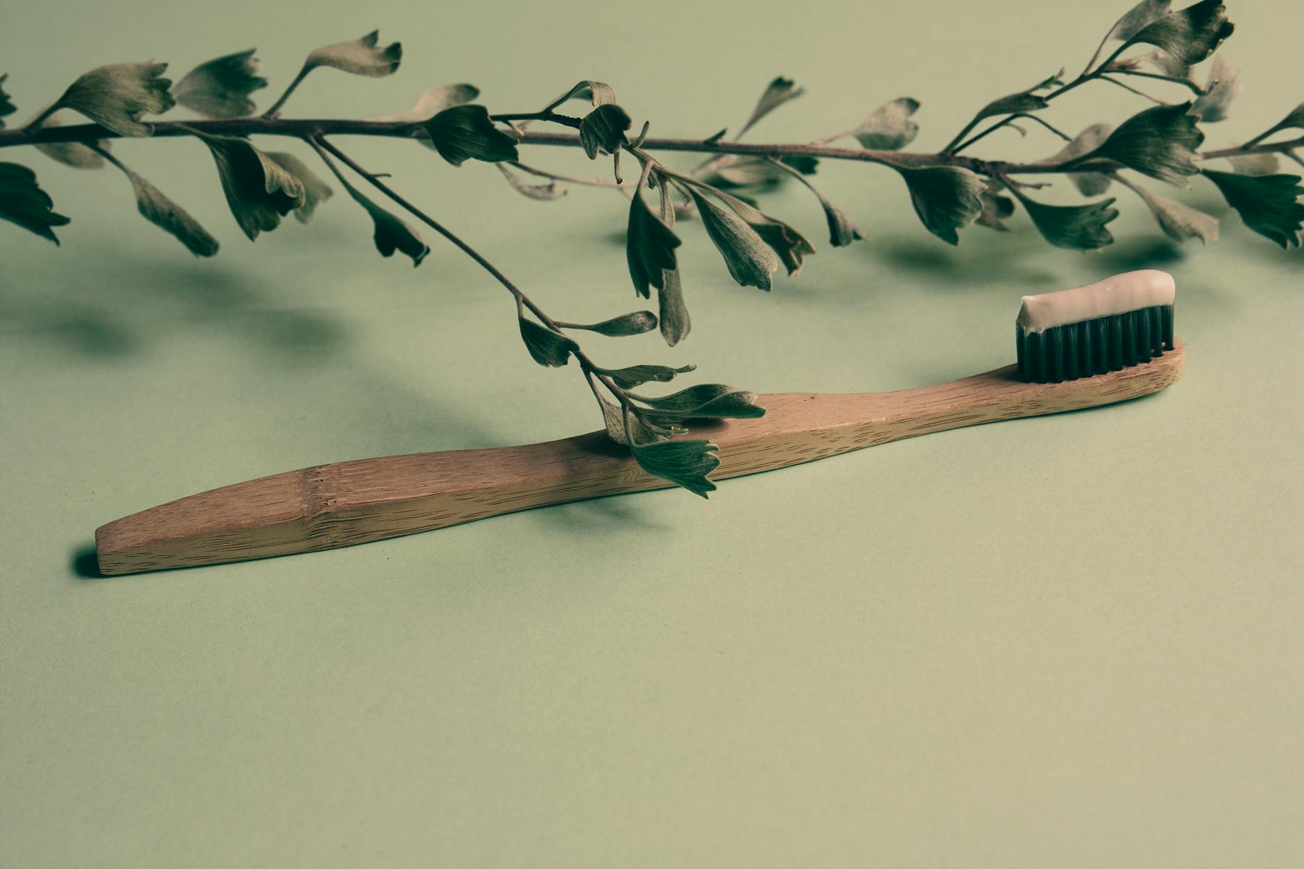 Bamboo toothbrush with toothpaste on a green leaf-adorned background